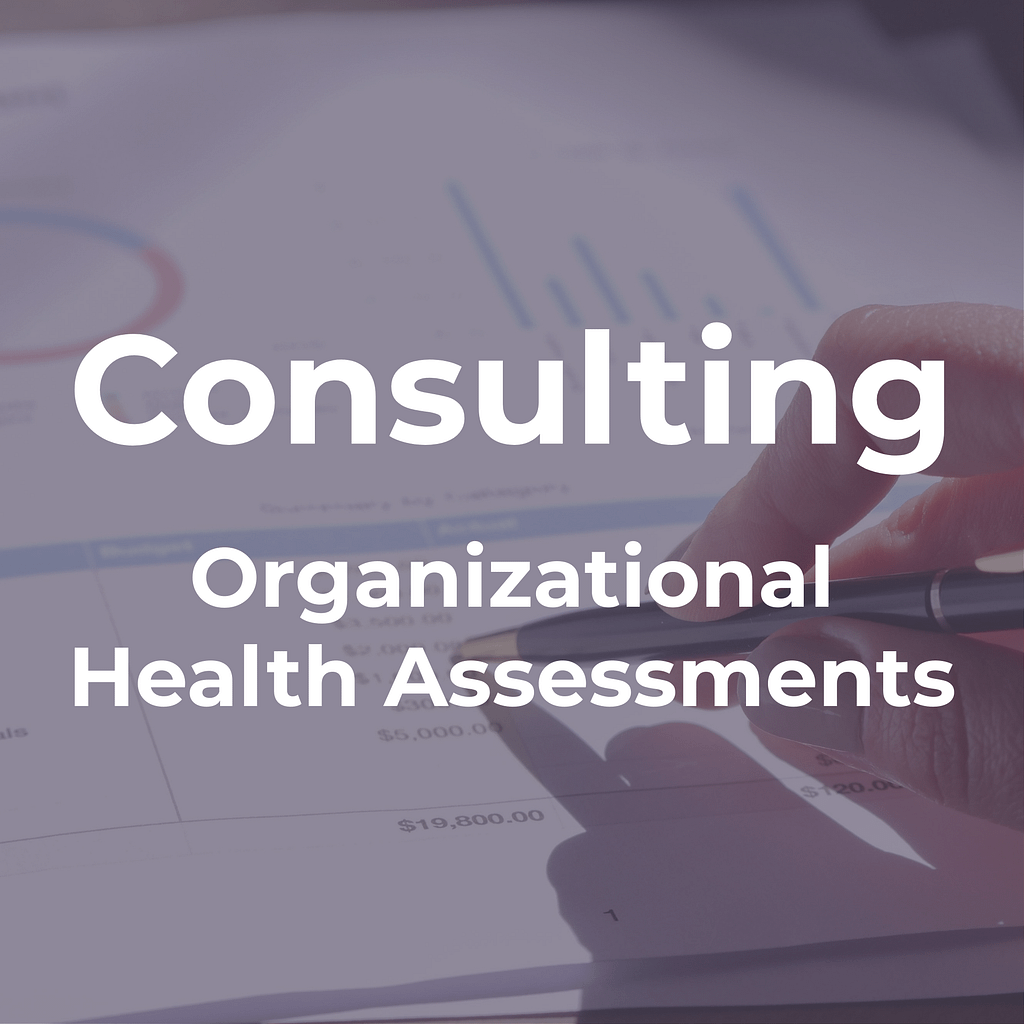 Consulting: Organizational Health Assessments (Header for section)